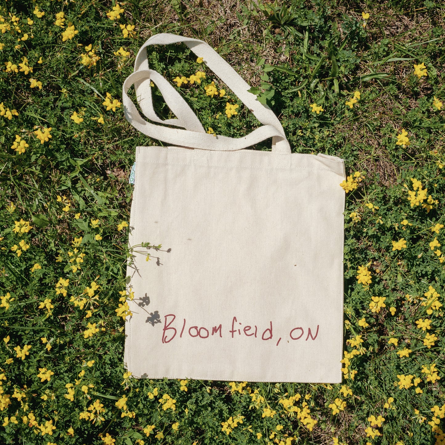 Market Bag